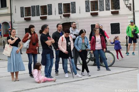 Čebela velikanka potuje po Kamniku (44)